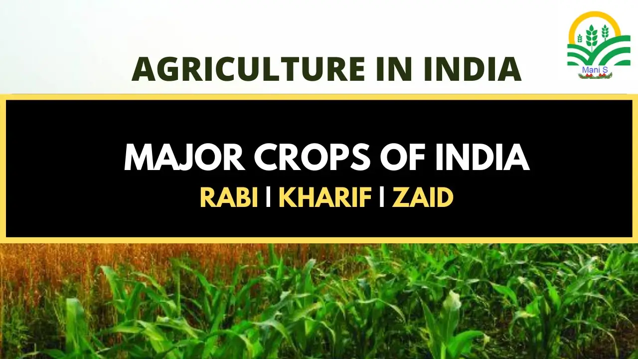 major crops in india