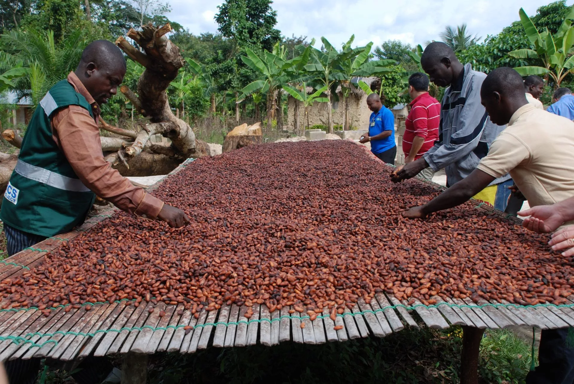 largest cocoa producers in the world